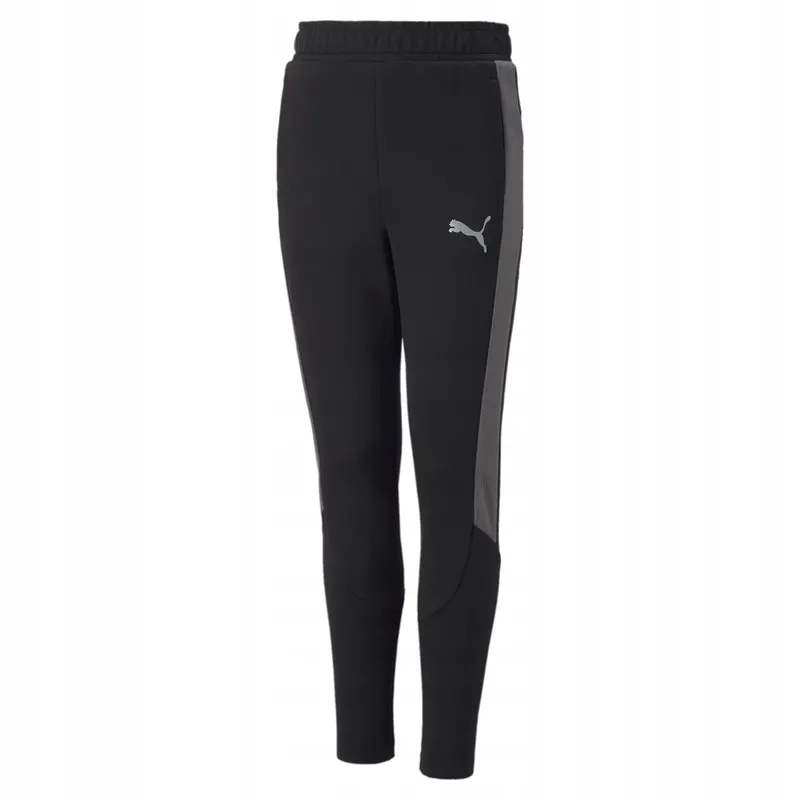 Spodnie Dziecięce Dresowe Puma Oddychające Do Szkoły Na Wf 67006901 r 164