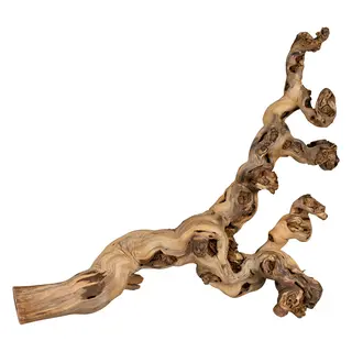Trixie Reptiland - konar winorośla - 40 - 60 cm