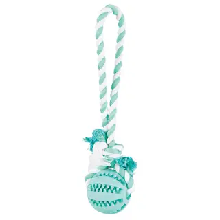 Trixie Denta Fun lina do zabawy z piłką - Ø x wys.: 7 x 24 cm