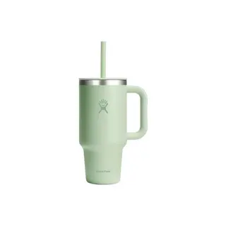 Kubek Hydro Flask All Around Aloe, 946 ml