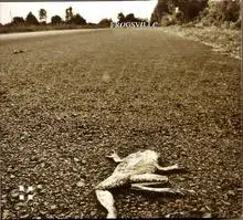 Frogsville