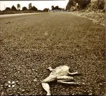 Frogsville