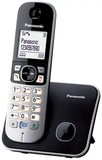 Telefon stacjonarny Panasonic KX-TG6811PDB