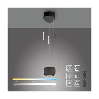 Lampa wisząca Q-STRETTO LED CCT PILOT 2657-18