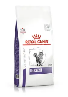 ROYAL CANIN Dental - sucha karma dla kota - 1,5kg