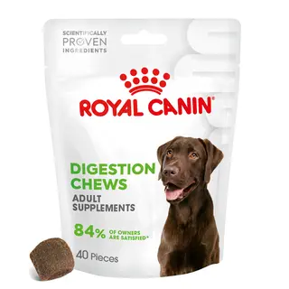 Royal Canin Digestion Adult Supplement Chews - 160 g (40 sztuk)