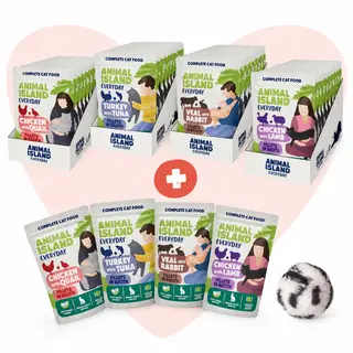 ANIMAL ISLAND Love Box Filety w rosole Box + zabawka - mokra karma dla kota - 48x85g