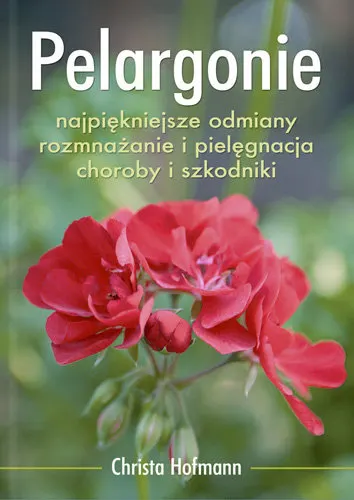 Pelargonie