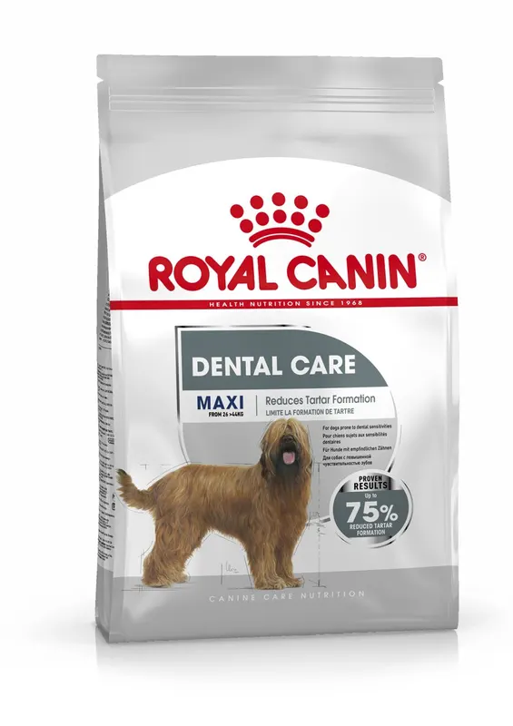 Royal Canin Maxi Dental Care dla psów - 9 kg