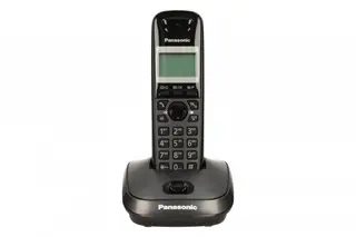 Panasonic Telefon KX-TG2511 Dect/Tytan