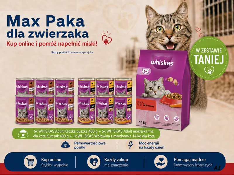 MAX PAKA DLA ZWIERZAKA - zestaw dla kota
