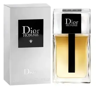 Dior Homme woda toaletowa dla mężczyzn 100 ml