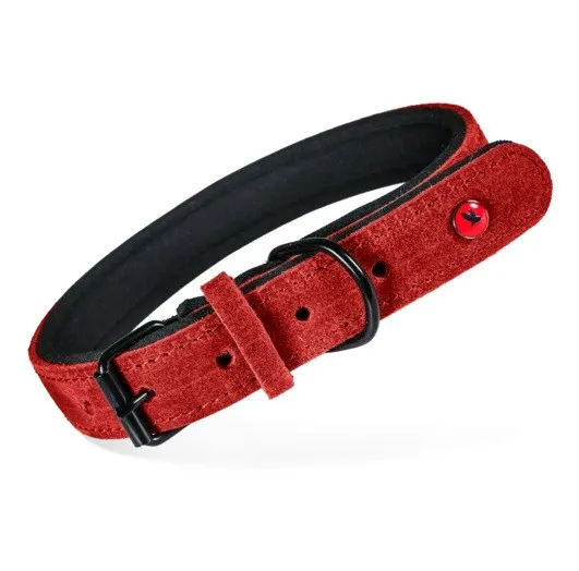ZOLUX Komfort Skórzana kol. czerwony - obroża dla psa - 30 cm