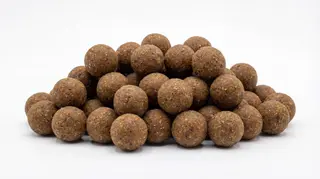 MK Scopex Squid Boilies - 20 mm 5 kg